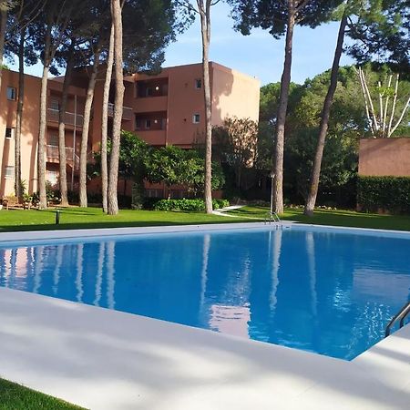 Bonito Apartamento, Con Piscina, Excelente Wifi Y Aire Acondicionado ปัลส์ ภายนอก รูปภาพ
