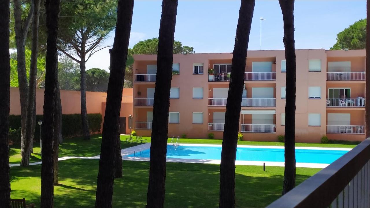 Bonito Apartamento, Con Piscina, Excelente Wifi Y Aire Acondicionado ปัลส์ ภายนอก รูปภาพ