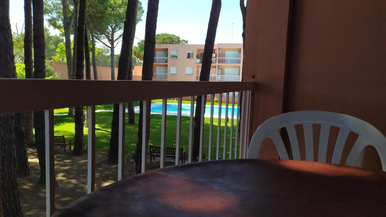 Bonito Apartamento, Con Piscina, Excelente Wifi Y Aire Acondicionado ปัลส์ ภายนอก รูปภาพ