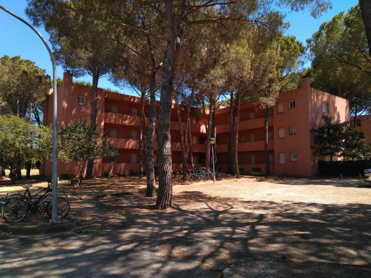 Bonito Apartamento, Con Piscina, Excelente Wifi Y Aire Acondicionado ปัลส์ ภายนอก รูปภาพ